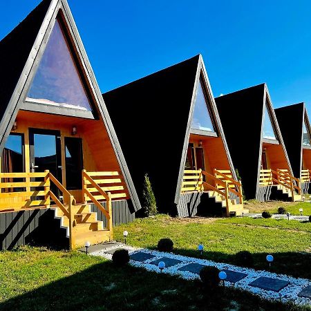 A-Frame Bucovina- Paradis Bucovinean Capu Cîmpului Eksteriør billede