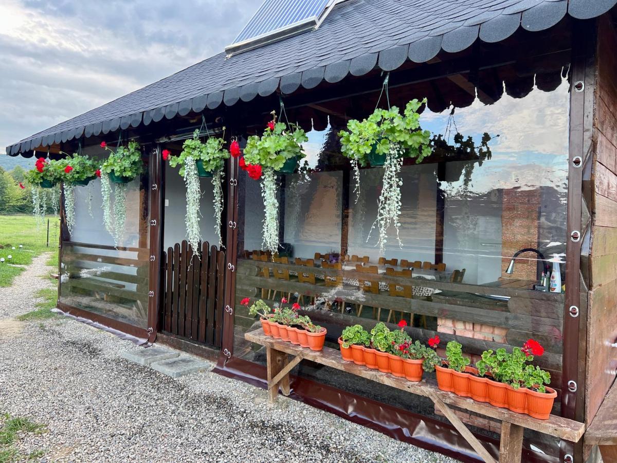 A-Frame Bucovina- Paradis Bucovinean Capu Cîmpului Eksteriør billede