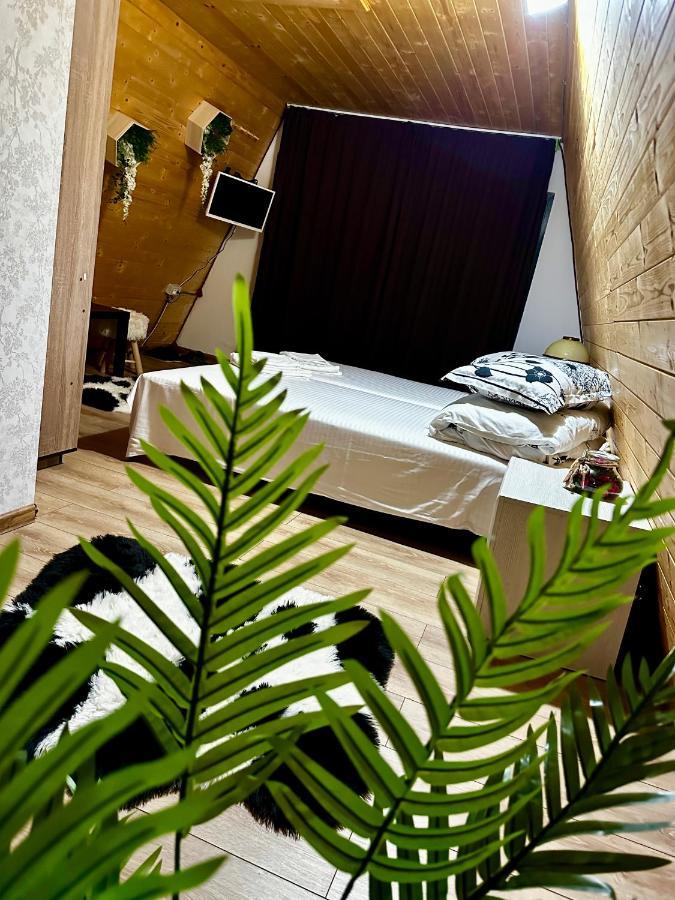 A-Frame Bucovina- Paradis Bucovinean Capu Cîmpului Eksteriør billede