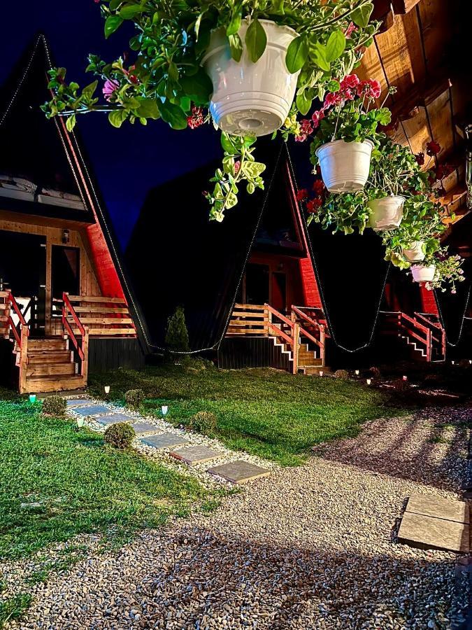 A-Frame Bucovina- Paradis Bucovinean Capu Cîmpului Eksteriør billede