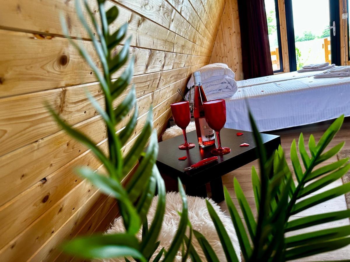 A-Frame Bucovina- Paradis Bucovinean Capu Cîmpului Eksteriør billede