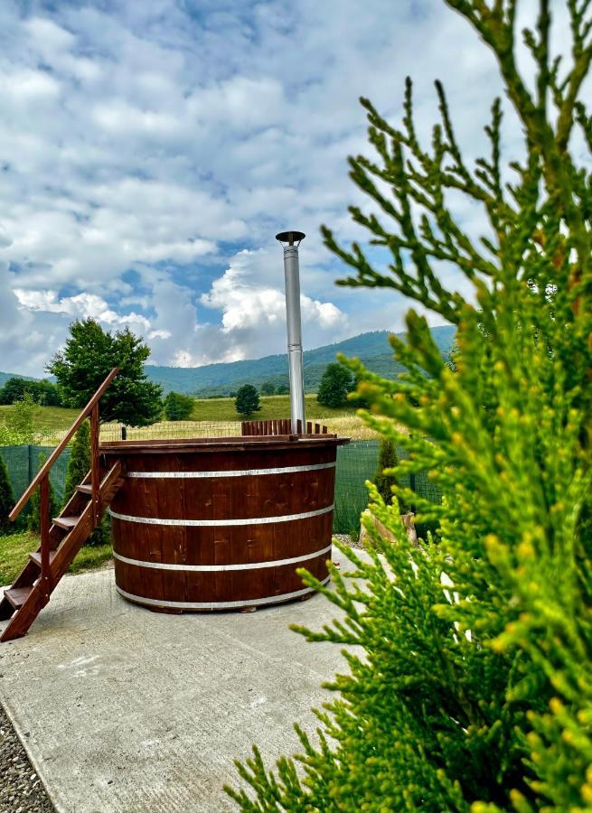 A-Frame Bucovina- Paradis Bucovinean Capu Cîmpului Eksteriør billede